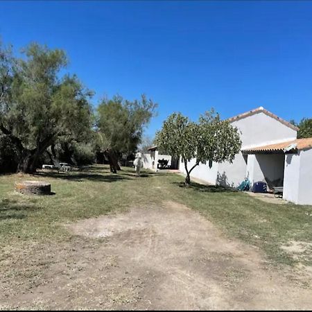 Mas Sublime Villa Saintes-Maries-de-la-Mer Dış mekan fotoğraf